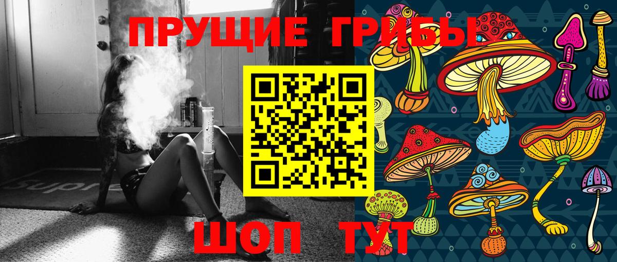 Гусиноозёрск  Псилоцибиновые грибы Psilocybe  Вход с VPN 