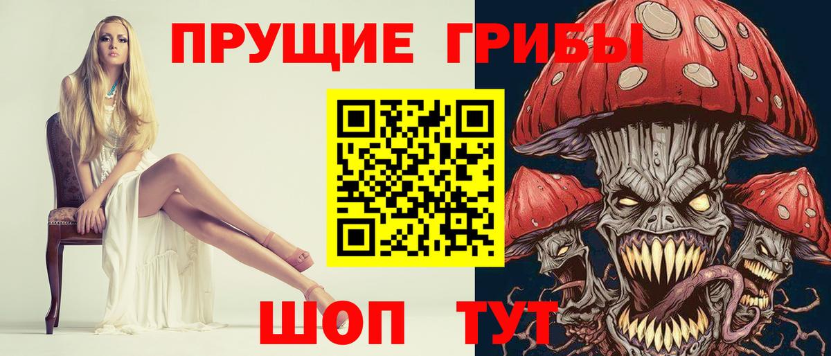 Галлюциногенные грибы прущие грибы Гусиноозёрск
