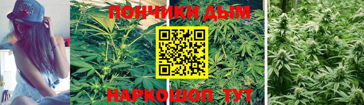 Бошки марихуана OG Kush  Канабис план  Гусиноозёрск  Марихуана AK-47  Вход с VPN 