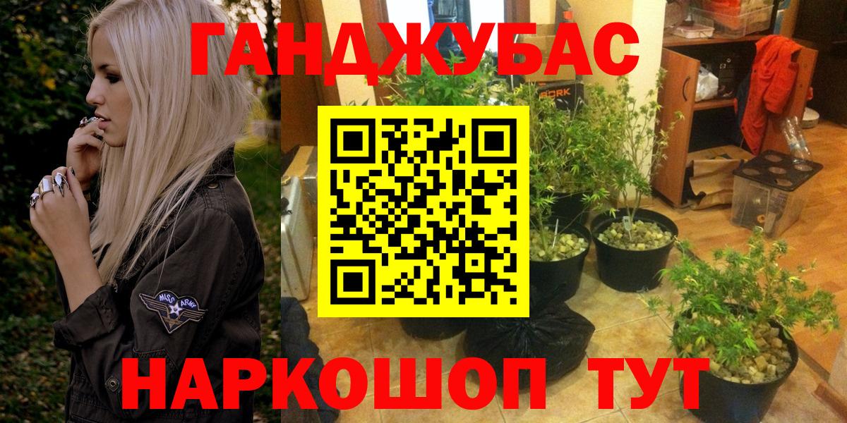 Конопля Amnesia Гусиноозёрск